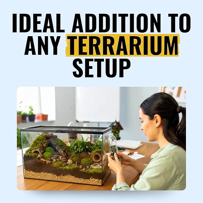 Creation Cultivated 12+ Oreo Crumbles Isopods Live - Live Bugs for Bioactive Terrarium, Vivarium Clean-up Crews, and Reptile Food - Easy-Care Isopods for Terrarium