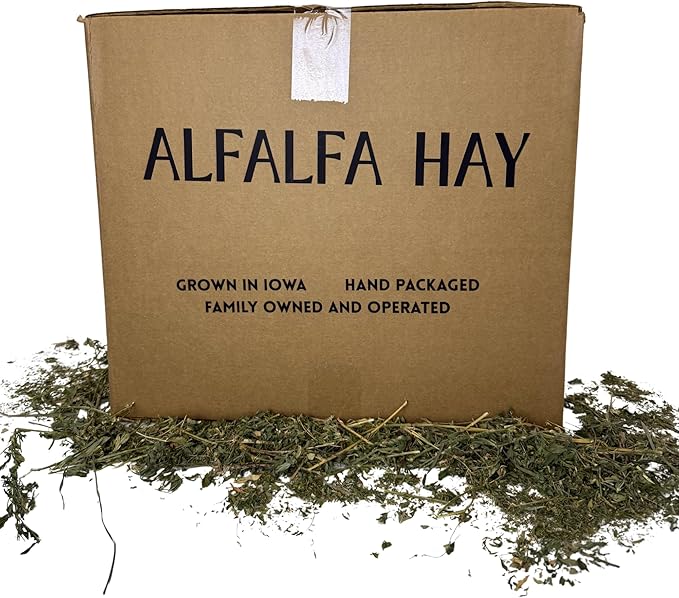 Alfalfa Hay for Rabbits, Guinea Pigs, Chinchillas, Hamsters, Gerbils, and Other Small Herbivores. 5lb
