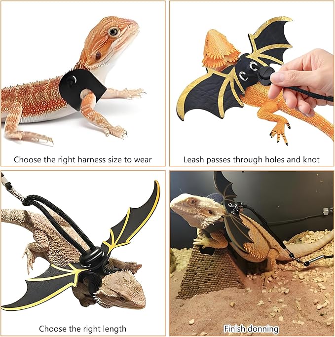 kathson Bearded Dragon Carrier with Harness and Leash Set, Large Reptile Travel Carrier Portable Lizard Backpack Clear Small Animals Carrying Bag for Gecko Hamster Rabbit Hedgehog Kitten (Blue)