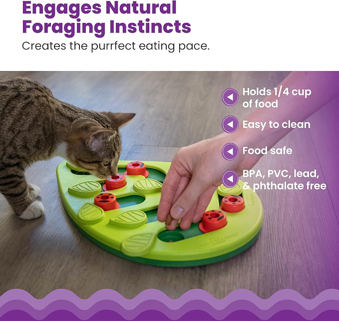 Catstages Nina Ottosson Buggin?€? Out Puzzle & Play Cat Toy Treat Puzzle, 14" - Image 4