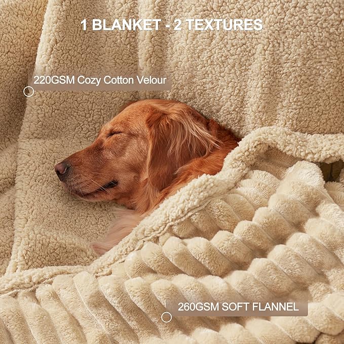 AIPERRO Waterproof Dog Blanket for Small Dogs, Washable Soft Puppy Cat Blanket Flannel Cotton Velour for Sofa Couch Protector, Comfort & Security Reversible Bed Protection for Pet, 25"X35", Khaki