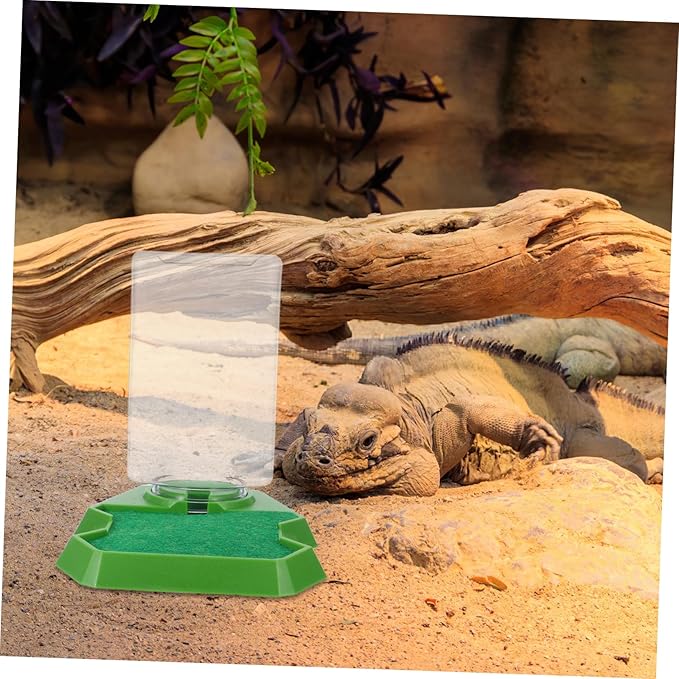 Toddmomy Reptile Water Dispenser Lizard Tank Accessory Hydration Feeder for Reptiles Easy Cleaning Design