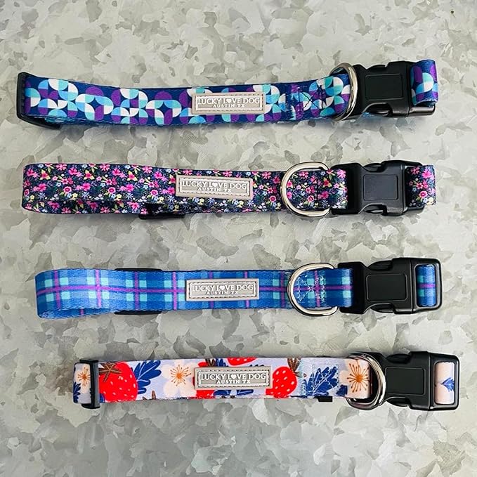 Lucky Love Dog - Adjustable Dog Collar with Easy Click Buckle for Small Dogs, Durable, & Comfortable for Male & Female Dogs, Pet Collar for Puppies & Adult Ones - Jasper, XS
