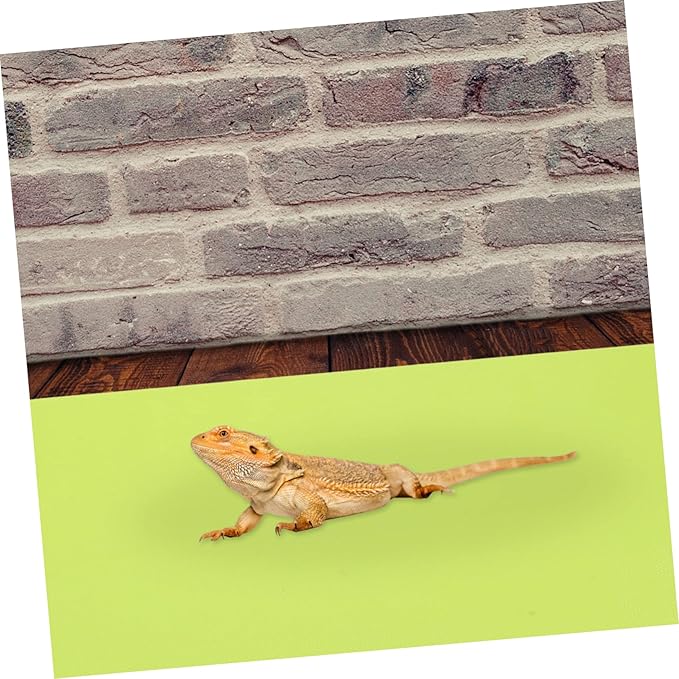 Toddmomy 2pcs Reptile Carpet for Terrarium Reusable Substrate Mat for Snakes Turtles and Lizards