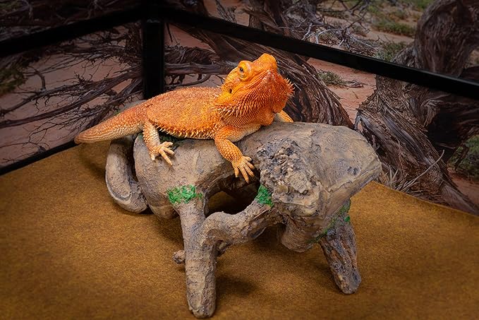 CAROLINACUSTOMCAGES Gnarled Large Root, Brown, Reptile Habitat Accessory