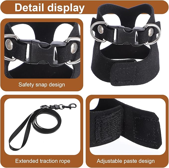 3 Pack Bearded Dragon Harness and Leash Set, Adjustable Nylon Bearded Dragon Accessories with 3 Sizes Vests, 6.56ft Lead for Reptile Training & Walking Accessories(Black)