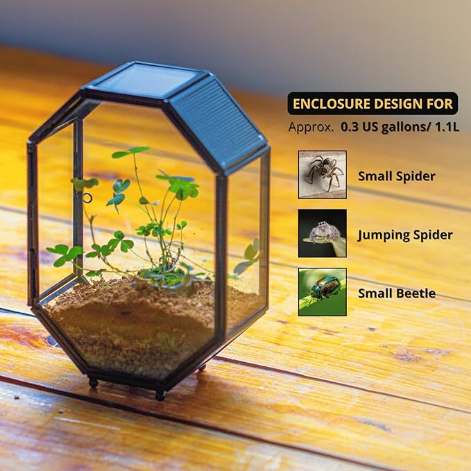 NCYP Mini Vented Glass Terrarium with Vent and Door for Jumping Spiders - Octagon Small Spider Enclosure, Black, Tabletop Decor, 5 x 2.3 x 7 Inches (Terrarium Only)