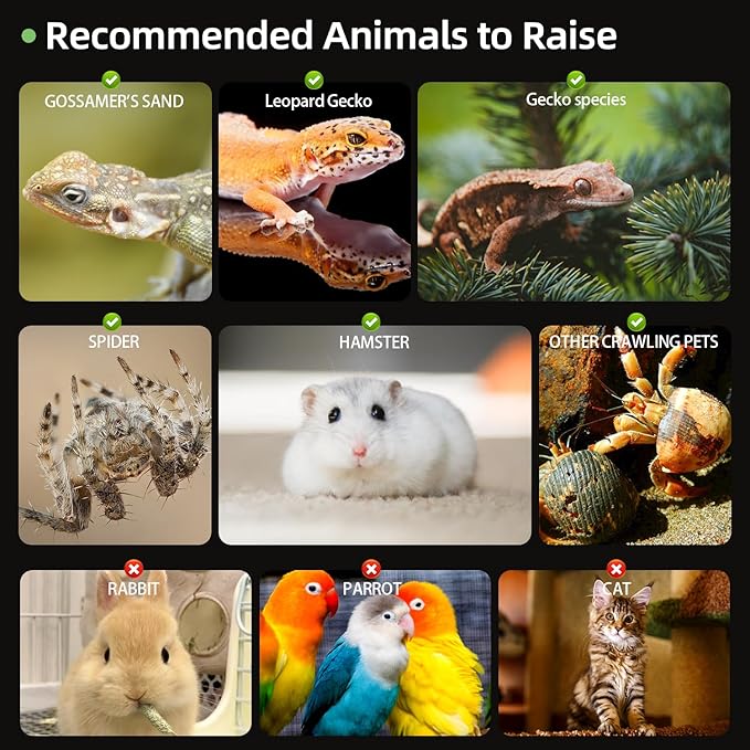 Jumping Spider Enclosure, 7.8''x8''x12'' Large Insect Terrarium, Praying Mantis Habitat, Large Insect Terrarium,Reptile Enclosure,Spider Habitat Caterpillar Habitat (7.8''x8''x12'')