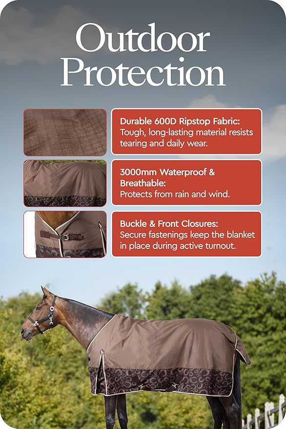 HORZE Glasgow Lightweight Waterproof Horse Turnout Blanket (100g Fill) - Chocolate Plum - 66 in