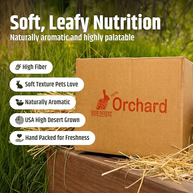 High Desert Orchard Grass Hay, Natural Orchard Hay for Rabbits Guinea Pigs Hamsters and Chinchillas, Soft Leaf Texture for Grazing and Foraging, Small Pet Supplies, Fresh Hand Packed Hay Box, 8 Lb