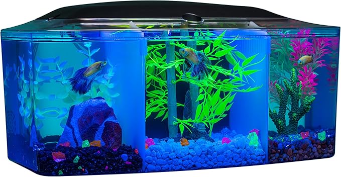 GloFish Betta Trilogy Aquarium, 3 Gallons, Includes LED Lights and Filter