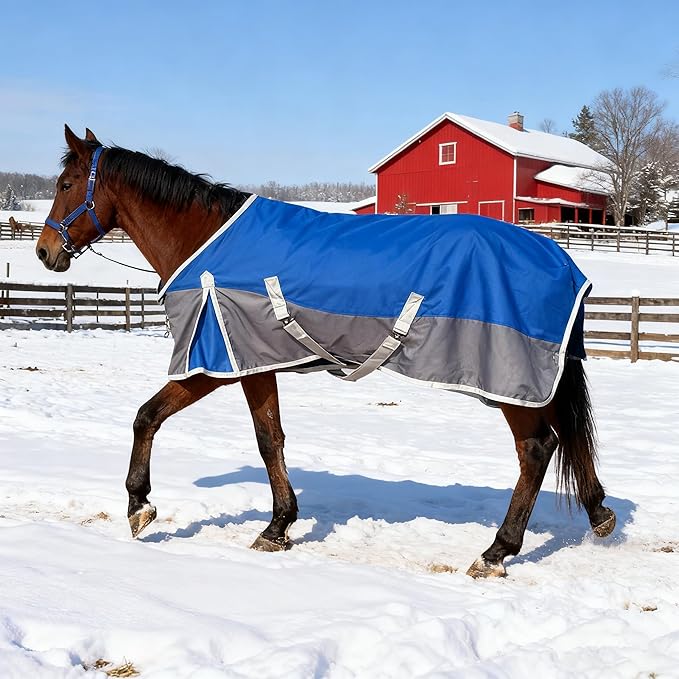 Horse Blanket for Winter, Waterproof, 1200D, 220g (Blue/Gray, 72 in)