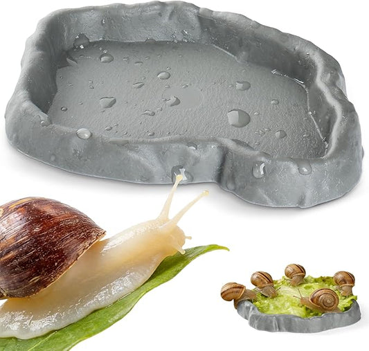 Snail Food and Water Bowl Terrarium Feeding Dish for Tank Supplies