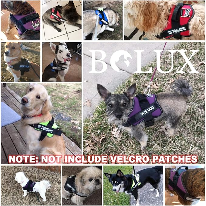 Bolux Dog Harness, No-Pull Reflective Dog Vest, Breathable Adjustable Pet Harness with Handle for Outdoor Walking - No More Pulling, Tugging or Choking (Green, L)
