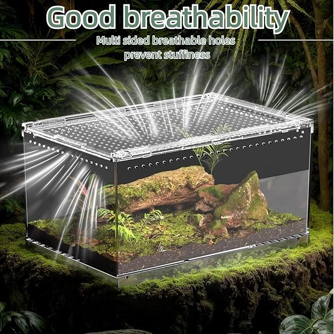 12x8x6 Inch Terrarium with Magnetic Top Sliding Lid, Clear View Critter Keeper & Spider Enclosure, Jumping Spider/Tarantula Habitat, Hermit Crab Tank, Tadpole to Frog Kit