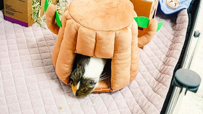 GuineaDad Tree Stump Hidey – Guinea Pig Bed & Hideout | Small Animal Bed & Cozy Guinea Pig House | Plush Tree Stump Hut & Hideaway for Rabbits & Pets (Medium)