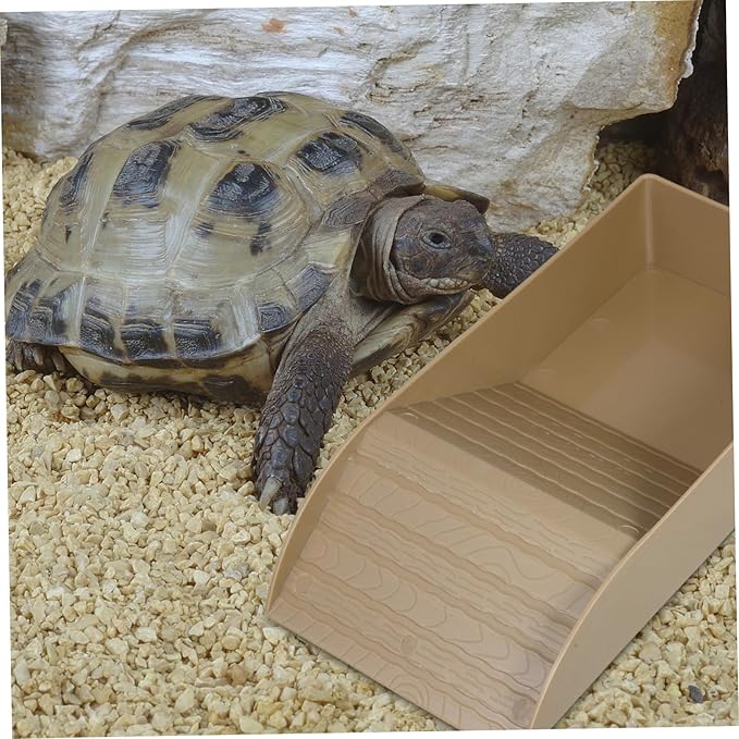 Tortoise Bathing Pool with Ramp Comfortable Soaking Dish for Tortoise Feeding Relaxation Versatile Indoor Outdoor Accessory for Healthy Diet Cleanliness