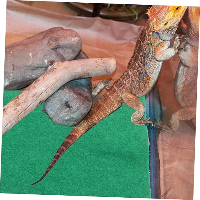 UPKOCH 60x40cm Waterproof Reptile Heating Pad for Turtles Lizards and Snakes Insulated PET Cushion for Terrarium Use