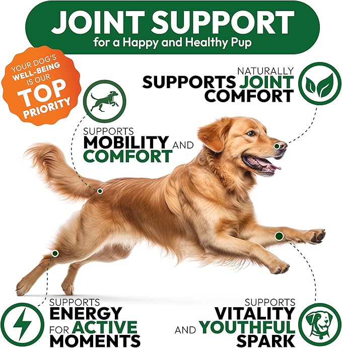 Glucosamine for Dogs - Hip and Joint Supplement for Dogs - 170 Mobility Chews - Glucosamine Chondroitin - MSM - Turmeric - Joint Pain Relief - Advanced Support for Dog Health - Made in USA