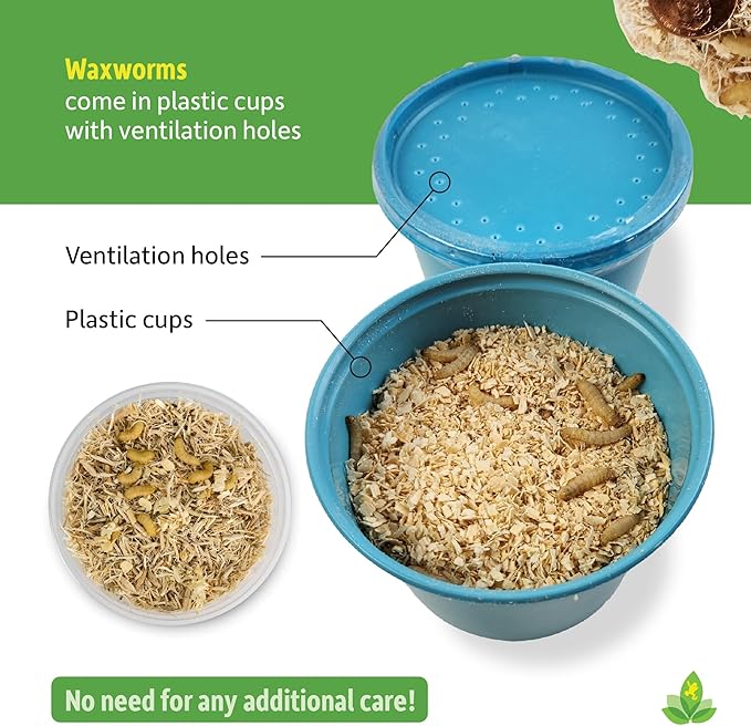 Josh's Frogs Waxworms (1000 Count)