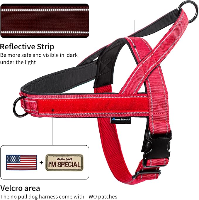 Annchwool No Pull Dog Harness with Padded Handle+5 Ft Leash,Reflective Strip Escape Proof and Quick Fit to Adjust Dog Harness,Easy for Training Walking for Small & Medium and Large Dogs(Red-Set,S)