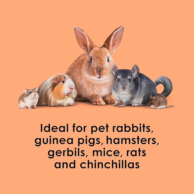 Kaytee Super C Bites Treat for Pet Guinea Pigs, Adult Rabbits, Chinchillas, and Other Small Animals, Cranberry and Orange, 4 oz (6 Pack)