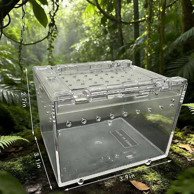 Mini Transparent PC Terrarium, Small Reptile Enclosure with Ventilation & Magnetic Closure for Jumping Spider, Tarantula, Hermit Crab and Other Small Pets