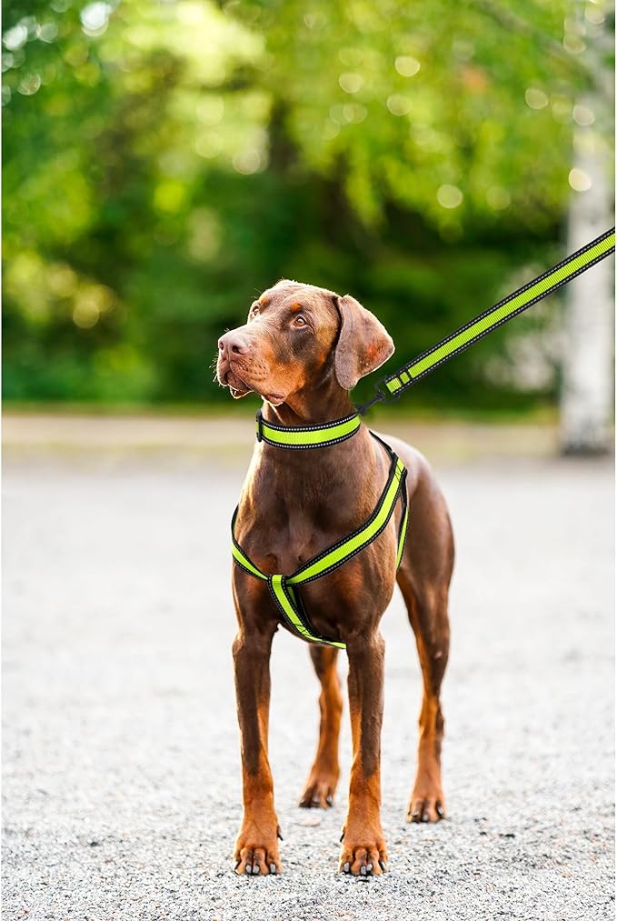 Mile High Life Night Reflective Double Adjustable Band Nylon Small Puppy Pet Dog Combo Collar Leash and Harness Set (Reflective Edge Lime Green, Small (Pack of 3))