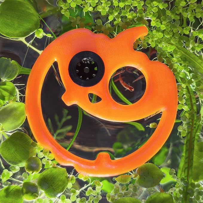Jack-O-Lantern Floating Fish Portal Feeding Station Aquarium Pumpkin Decoration Fish Tank Accessories Halloween Autumn Decor Ornament (Fluor Orange)