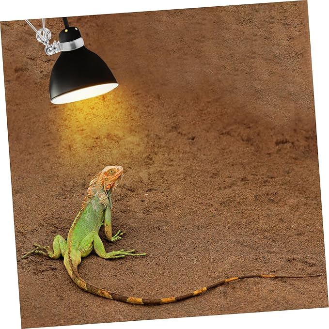 Sosoport Turtle Heat Lamp Clamp Reptile Lamp Holder Clamp Light Stand Easy Install