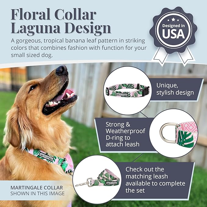 Lucky Love Dog - Adjustable Dog Collar with Easy Click Buckle for Small Dogs, Durable, & Comfortable for Male & Female Dogs, Pet Collar for Puppies & Adult Dogs - Laguna, Small