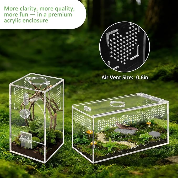 Acrylic Spider Enclosure 2 Pack, No Assembly Mixed Size Terrarium for Jumping Spider & Tarantula (M)