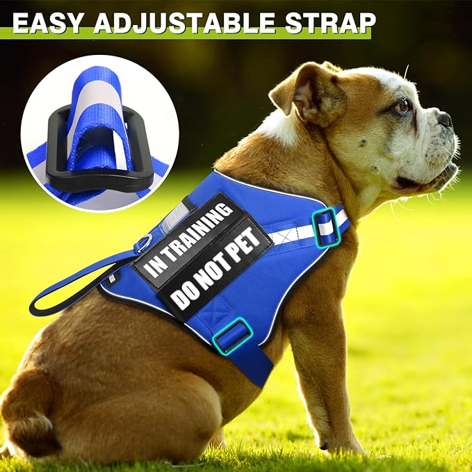 Service Dog Harness and Leash Set, Training Dog Vest with 10 Dog Patches, Emotional Support Therapy Dog Vest Harness for Small Medium Large and Extra Large Dogs(Blue, XS)