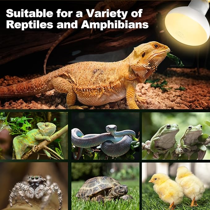 2Pack Reptile Heat Lamp, 100W Reptile Heat Emitter Infrared Basking Spot Light, UVA Daylight Heat Lamp Bulbs for Chickens Coop Reptiles Pets Brooder Use