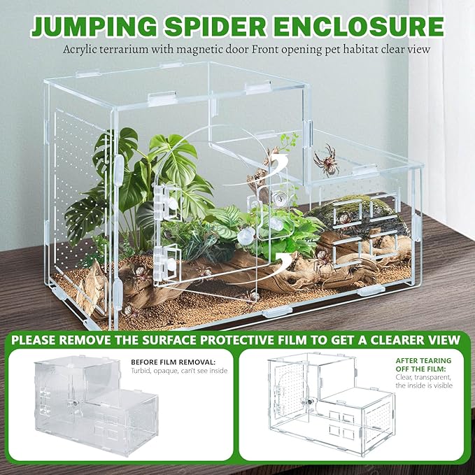 Acrylic Jumping Spider Enclosure, Clear Ventilated Spider Terrarium with Snap-on Front Door, 9.8×5.5×6.8in Reptile Habitat for Snails, Mantises, Small Tarantulas and Small Tree Frogs