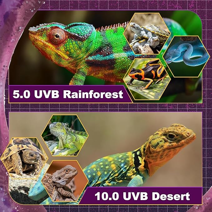T5 HO UVB Lighting Combo Kit, Reptile Light Fixture with Fluorescent Light Bulbs, Tropical Light for Reptiles and Amphibians, Basking Light for Bearded Dragon, High Output Natural Light (39W 10.0 UVB)