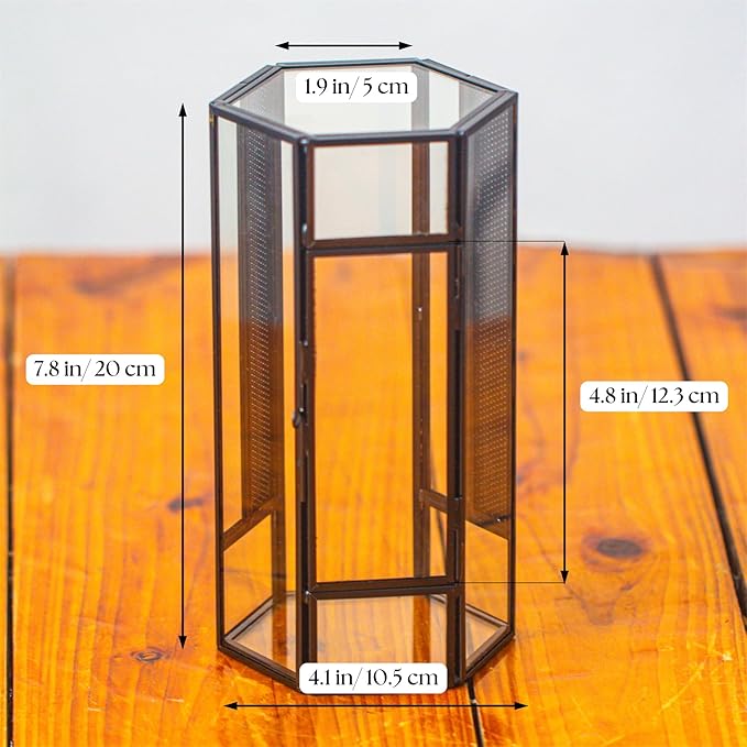NCYP Glass Enclosure Terrarium with Mesh and Door for Small Spiders - Hexagon Shape, Small Mantis Vented Glass Terrarium 4.1'' x 3.6'' x 7.8'', Tabletop Decor, Black (Plants Not Include)