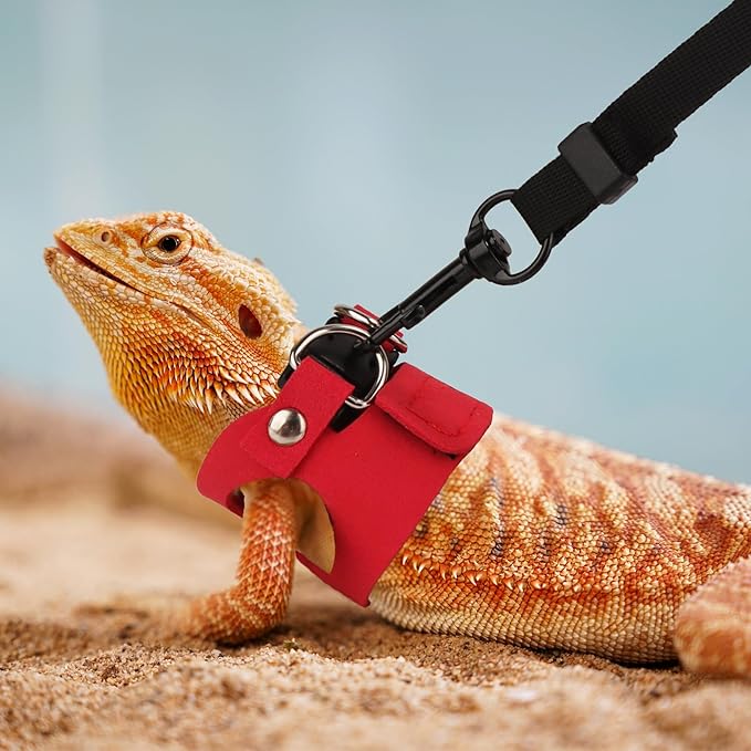 ADOGGYGO Bearded Dragon Harness Leash Set- 3 Size Pack Lizard Harness, Lizard Reptile Walking Leash Harness for Bearded Dragon Lizard Reptiles (Red)