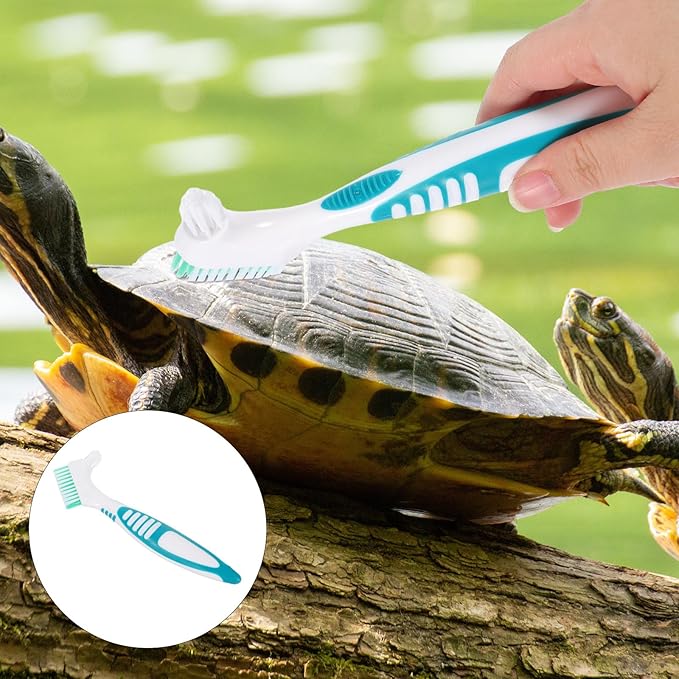 KESYOO 2 x Cleaning Brushes for Aquatic Turtle Shell Double Sided Mini Size Green Portable Mud and Dirt Remover for Aquariums and Home