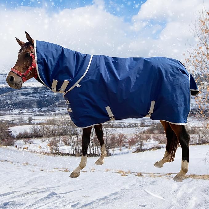 1200D Winter Waterproof Horse Trunout Blanket, 280g Warm Cotton Filling Liner with Turnout Neck Cover Detachable, Medium Weight Waterproof Horse Blanket (Back Length 78 inch / 145 CM)