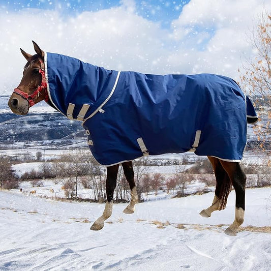 1200D Winter Waterproof Horse Trunout Blanket, 280g Warm Cotton Filling Liner with Turnout Neck Cover Detachable, Medium Weight Waterproof Horse Blanket (Back Length 78 inch / 145 CM)