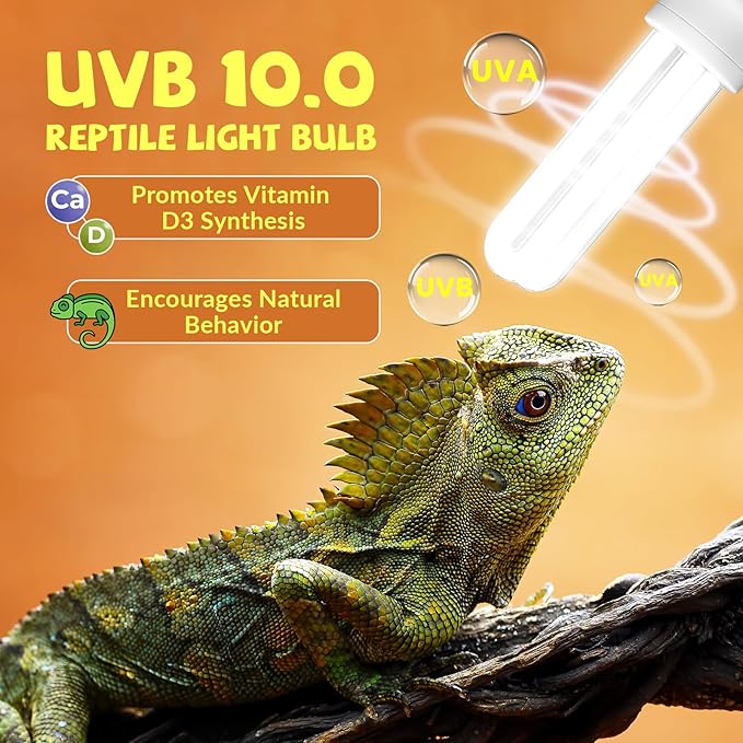 GlowUp UVB 10.0 Reptile Light, 13W Desert Reptile Light for Reptiles Compact Fluorescent UVB Bulbs for Bearded Dragon, Lizard, Snakes (2-Pack)