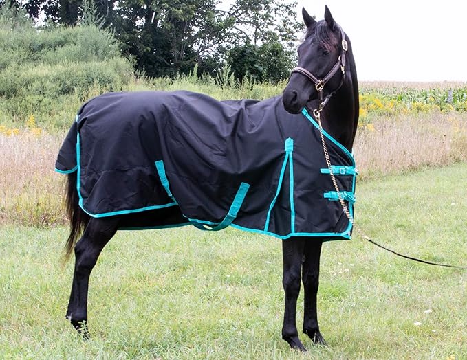 1200 Denier Horse RAIN Sheet (Waterproof/Breathable & Wind Proof Turnout Sheet) Horse Breathable RAINSHEET (Black-Turquoise, 80)