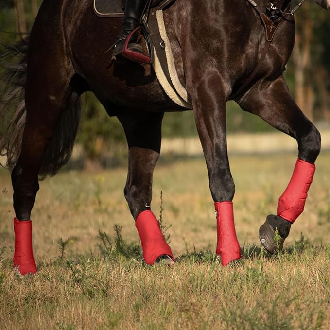 Harrison Howard Horse Sport Medicine Front Shock-Absorbing Boots All-Round Lower Limb Protection & Support Sport Boots Athletic Boots Perfect for Endurance Training and Performance Scarlet Red M