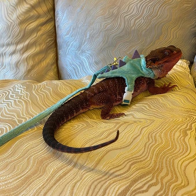 Bearded Dragon Harness and Leash Set - Soft Fleece Dinosaur Vest with Safe Bell Adjustable Lizard Traction Rope Escape Proof Outdoor Walking Training Leash for Ferret Rat Kitten Puppy (Blue)