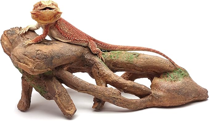 CAROLINACUSTOMCAGES Gnarled Large Root, Brown, Reptile Habitat Accessory