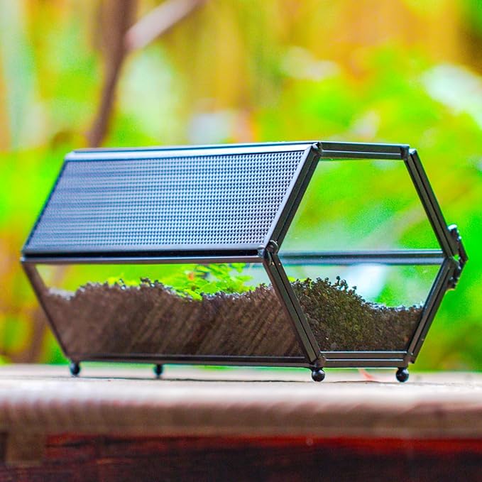 NCYP Small Glass Terrarium Enclosure with Mesh & Door for Tiny Beetle, Jumping Spiders, Hexagon Vented Glass Terrarium 6.8'' x 4.1'' x 3.6'', Indoor Decor, Black (Plants Not Include)