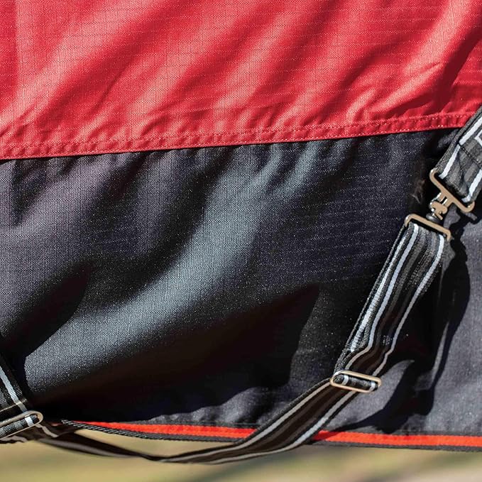 Equinavia Norse Lightweight 100g Fill Horse Rain Blanket | Waterproof Turnout Sheet - Black - 66 in - Equestrian Red - 78 in