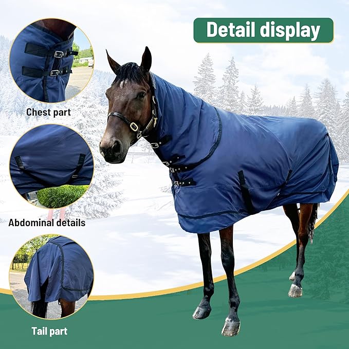 Waterproof Horse Turnout Blanket - Medium Weight Winter Blanket (220g Fill) with Detachable Neck Cover - Blue - 78 in