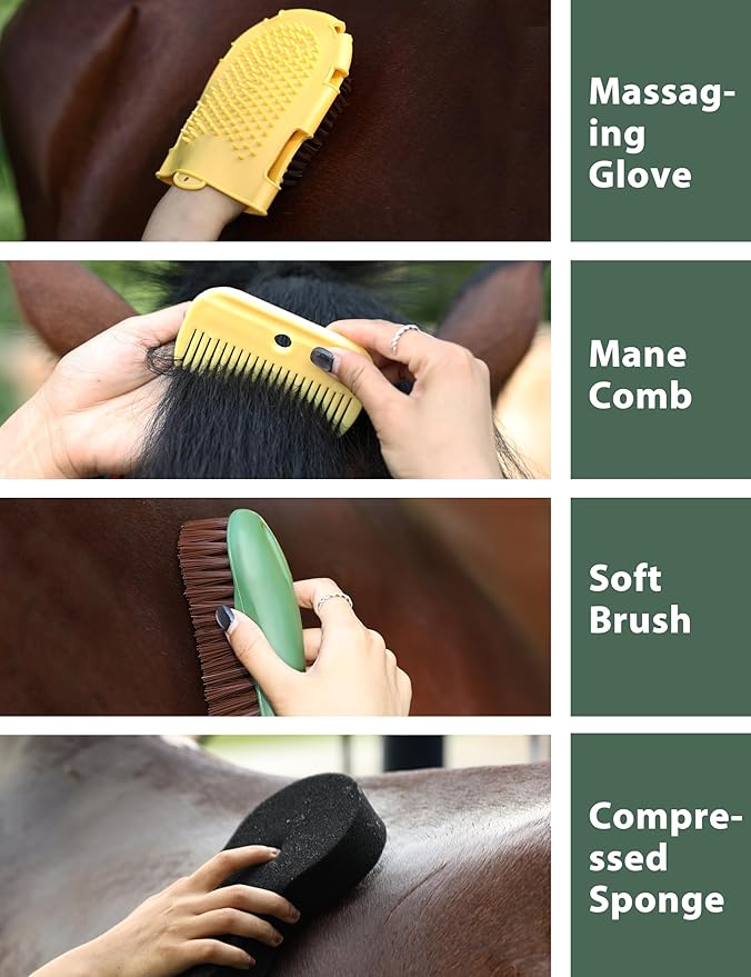 Horse Grooming Kit, 11-Piece Complete Grooming Supplies Set with Curry Comb, Brushes & Hoof Pick for Daily Care, Stable & Show Use Pasture Glow